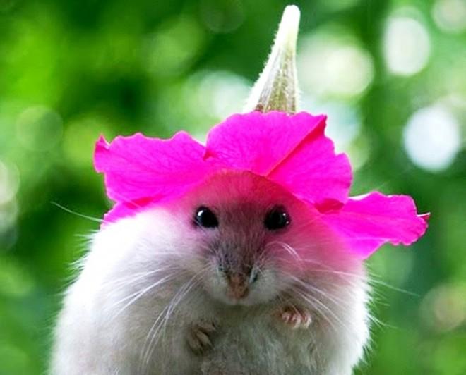 Wayyyy too cute!